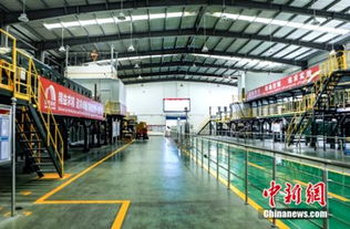 堅守工匠精神 東方雨虹以木材加固建筑建材質量護城河